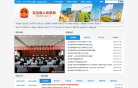 定边县人民政府网缩略图