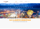帝古斯阻燃电线品牌官网缩略图