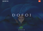大风国际DOFOIINTERNATIONAL缩略图