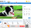 狗民网狗狗品种大全缩略图