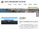 青岛东方鼎信实业缩略图