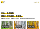 上海稻壳网络科技缩略图