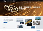 东北特殊钢集团官网缩略图