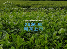 白沙德馨园茶业—官方网站缩略图