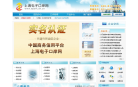 上海电子口岸网缩略图
