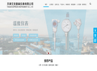 天津艾克普森仪表缩略图