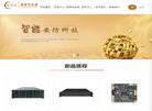 恩智华达通数字技术缩略图