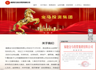 福建金马投资集团缩略图