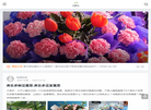 乐盛鲜花网缩略图