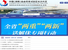 欢迎进入中国自由贸易试验区长沙片区缩略图