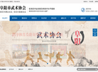 阜阳市武术协会缩略图