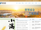 福州市晋安金融投资缩略图