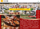 广东汕特日日香食品缩略图