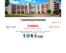 广东新安职业技术学院官网缩略图