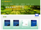 责扬天下管理顾问官方网站缩略图