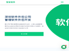 深圳软件外包公司缩略图
