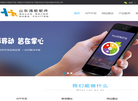 山东鸿软信息科技缩略图
