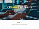 甘肃联友数智信息技术缩略图