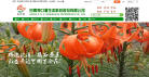 爽口源缩略图