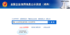 湖南企业信用信息公示系统缩略图