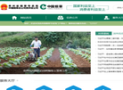 贵州省烟草专卖局官网缩略图