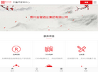 贵州博智科技开发缩略图