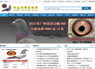 岭南雄狮赛鸽网缩略图