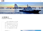 漳州古雷海腾码头投资管理缩略图