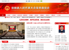 崇阳**网缩略图