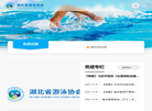 湖北省游泳协会缩略图