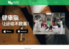 健康猫缩略图