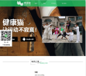 健康猫缩略图