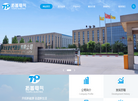 河北拓普电气缩略图