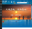 中国合肥政府门户网缩略图