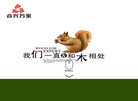 合兴万家集成材缩略图