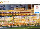 重庆辉浩模型缩略图