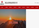 锡矿山闪星锑业有限责任公司缩略图