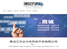 黑龙江华企方舟科技开发缩略图
