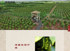 海南胡椒科技发展缩略图