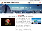 湖南马帮实业集团缩略图