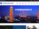 中特保国际安保缩略图
