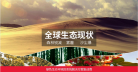 红枫种苗缩略图