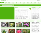 花卉网缩略图