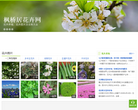 枫桥居花卉网缩略图