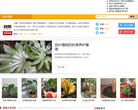 阿邦网花草频道缩略图