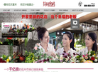 云南春都花卉缩略图