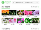 青岛七彩阳光电子商务缩略图