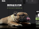 IGG宠物缩略图