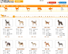 宠物中国狗狗品种缩略图