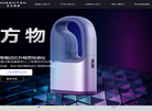 东方智感官方网站缩略图
